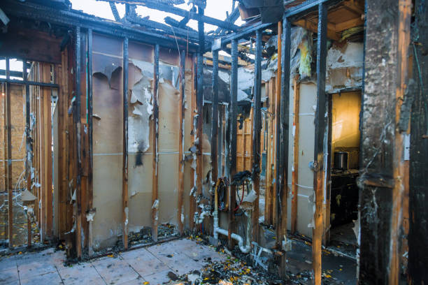 Professional Smoke Damage Removal technician working in Swifton, AR